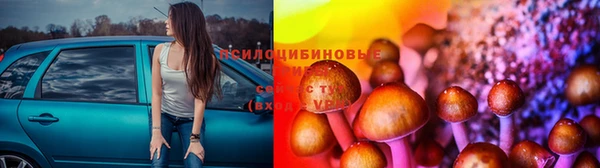 apvp Вязники