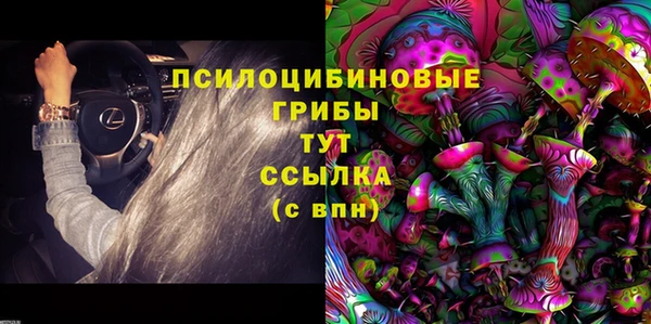 меф Гусь-Хрустальный