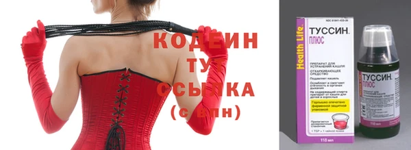 ПСИЛОЦИБИНОВЫЕ ГРИБЫ Вяземский