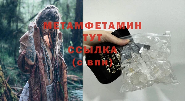 ПСИЛОЦИБИНОВЫЕ ГРИБЫ Вяземский