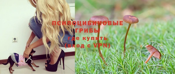 герыч Гусиноозёрск