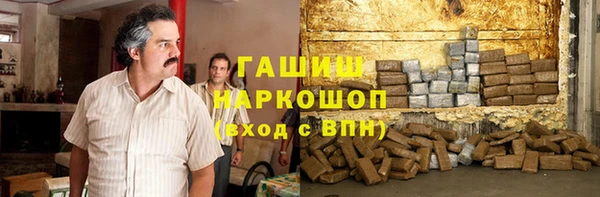 ПСИЛОЦИБИНОВЫЕ ГРИБЫ Вяземский