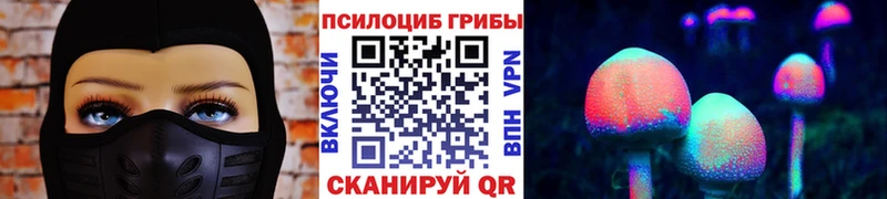 купить  цена  Дзержинский  Галлюциногенные грибы Cubensis 
